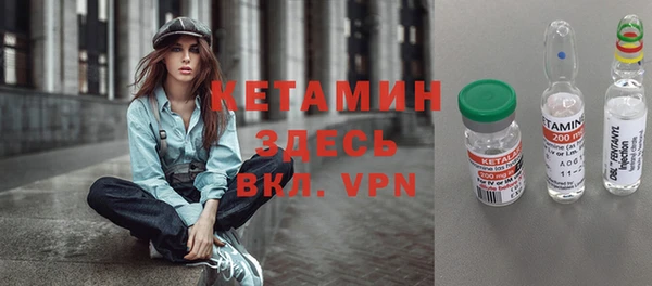 стаф Бородино