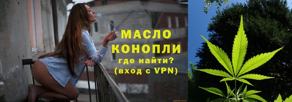 стаф Бородино