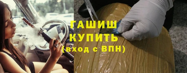 стаф Бородино