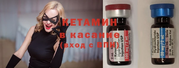 стаф Бородино