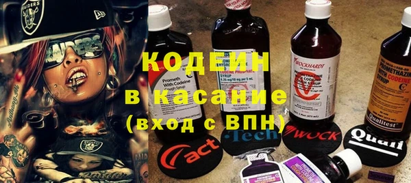 стаф Бородино