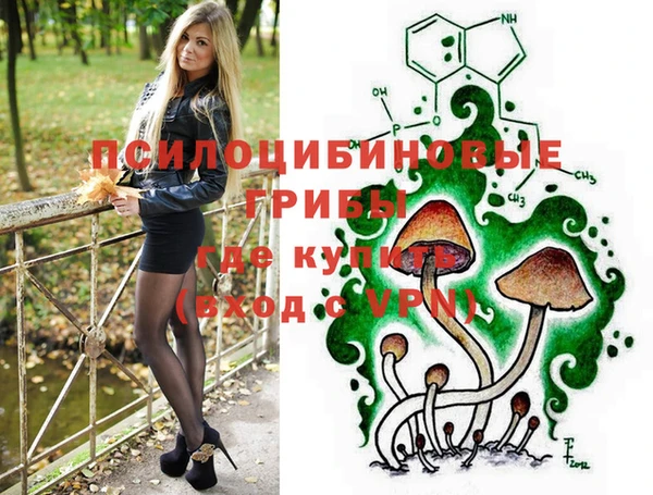 стаф Бородино